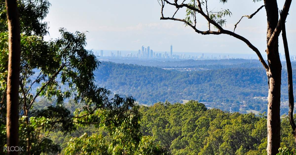 Tamborine Mountain Tour from Gold Coast, Queensland, Australia Klook